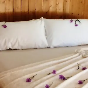  Сasa de vacaciones Caseta Rovira